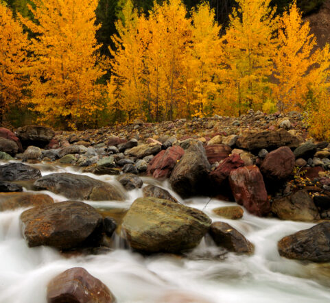 Fall in Glacier National Park. Avoid the busy crowds and come see the glorious quieter season