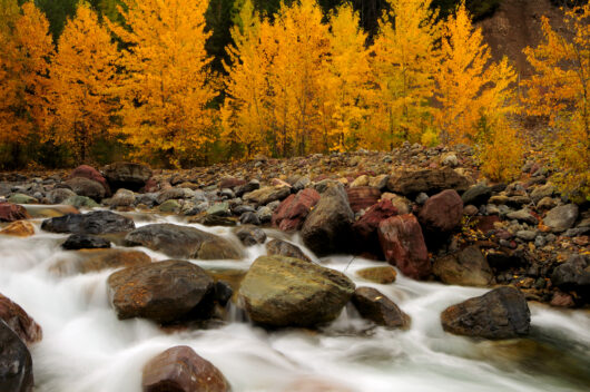 Fall in Glacier National Park. Avoid the busy crowds and come see the glorious quieter season