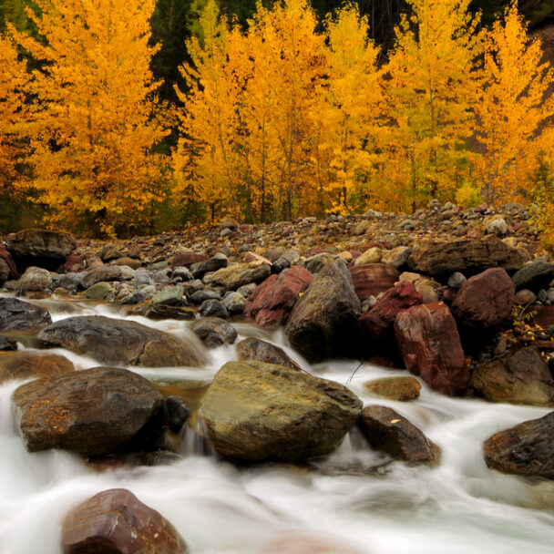 Fall in Glacier National Park. Avoid the busy crowds and come see the glorious quieter season