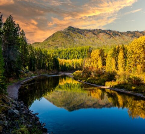 Near West Glacier Bear Cabin, McDonald Creek is a scenic sight for Tamarack Trees in the Fall