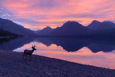 Lake McDonald, Inside Glacier National Park. Stay at West Glacier Bear Cabin, right around the corner from Lake McDonald. 2 bedroom, 1 bath cute cabin in Apgar Village is the ideal location for your Glacier National Park vacation