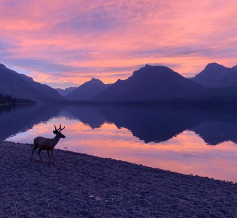 Lake McDonald, Inside Glacier National Park. Stay at West Glacier Bear Cabin, right around the corner from Lake McDonald. 2 bedroom, 1 bath cute cabin in Apgar Village is the ideal location for your Glacier National Park vacation