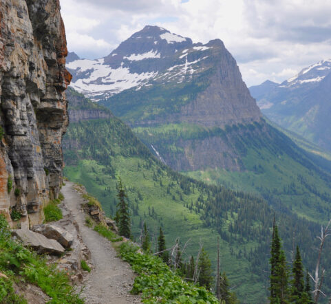 Highline Trail in Glacier. Lake McDonald in Glacier National Park. Wildlife watching, hiking, and biking are great summer activities in Glacier National Park. Be sure to stay with us at West Glacier Bear Cabin inside the park where you're close to all the amazing features & trails and lakes in GNP
