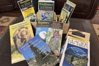 Wildlife watching, hiking, and biking are great summer activities in Glacier National Park. Be sure to stay with us at West Glacier Bear Cabin inside the park where you're close to all the amazing features & trails and lakes in GNP