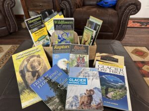 We are ready for the new summer season. Wildlife watching, hiking, and biking are great summer activities in Glacier National Park. Be sure to stay with us at West Glacier Bear Cabin inside the park where you're close to all the amazing features & trails and lakes in GNP
