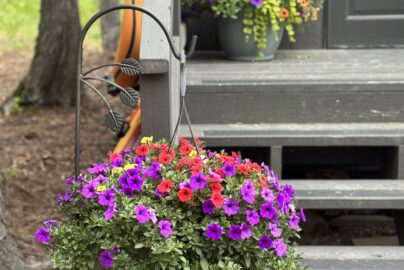 The flowers are out for the season. Wildlife watching, hiking, and biking are great summer activities in Glacier National Park. Be sure to stay with us at West Glacier Bear Cabin inside the park where you're close to all the amazing features & trails and lakes in GNP
