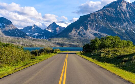 Wildlife watching, hiking, and biking are great summer activities in Glacier National Park. Be sure to stay with us at West Glacier Bear Cabin inside the park where you're close to all the amazing features & trails and lakes in GNP