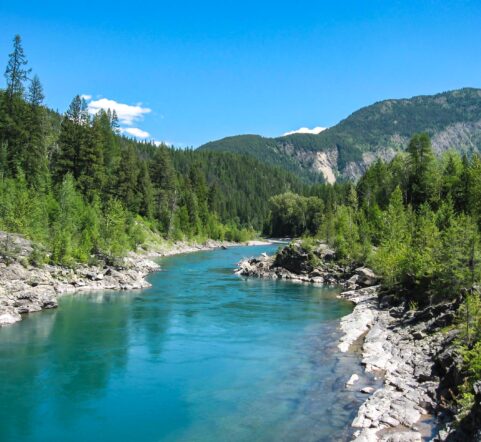 Float down the Flathead River for a great summertime treat You'll love the tranquility and coolness of doing something different. Wildlife watching, hiking, and biking are great summer activities in Glacier National Park. Stay with us at West Glacier Bear Cabin inside the park where you're close to all the amazing features & trails and lakes in GNP. You're right around the corner from Lake McDonald. Enjoy being close to the Going to the Sun Road this Summer.